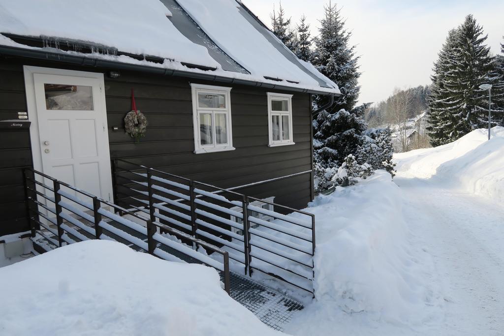 Horska Chata U Vleku Apartment Rokytnice nad Jizerou Exterior photo